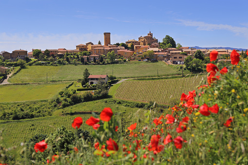 Landscape of vineyards and countryside in Beaujolais, the village Oingt and red poppy in spring. Rhone department, France. Focus selective