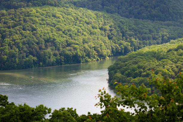istock Allegheny River at a Fork near Kinzua Dam 1322735343