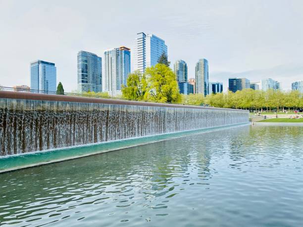 istock Beauty in Bellevue 1322736075