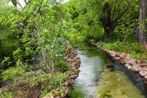 istock Spring nature scene. Beautiful landscape 1322739323
