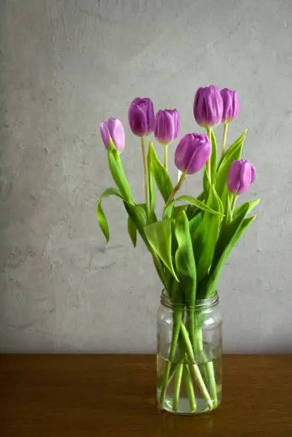 Bouquet of beautiful pink tulips in glass jar on table, still life wit gray wall in background
