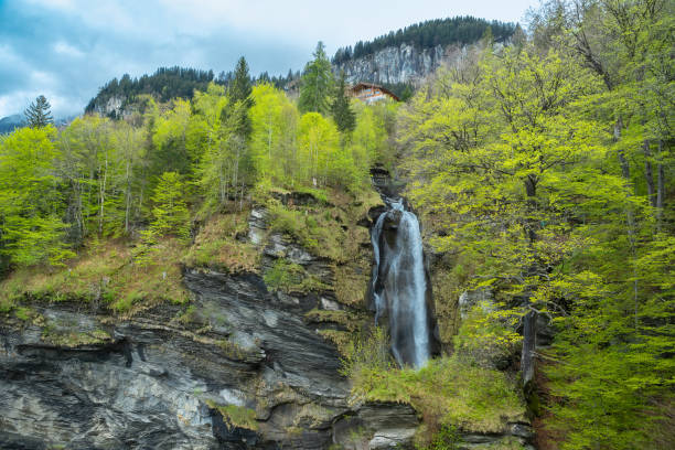 cachoeira reichenbach. as cataratas do reichenbach são uma cascata de cachoeiras de sete degraus no córrego chamado rychenbach, na região de bernese oberland, na suíça. - interlaken mountain meadow switzerland - fotografias e filmes do acervo