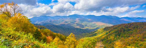 piękna jesienna górska sceneria w północnej karolinie. - blue ridge mountains blue ridge parkway north carolina mountain zdjęcia i obrazy z banku zdjęć