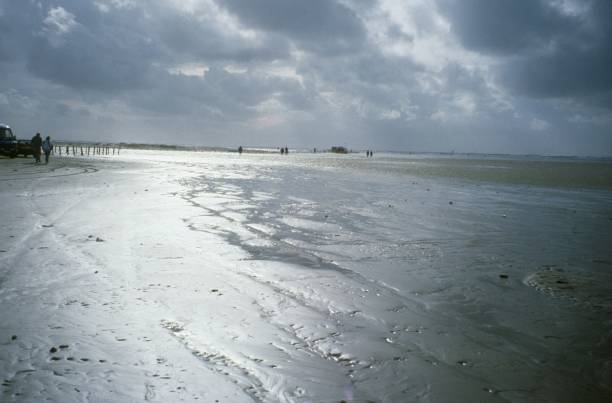 istock Beach Impression on the Danish North Sea coast 1322746417
