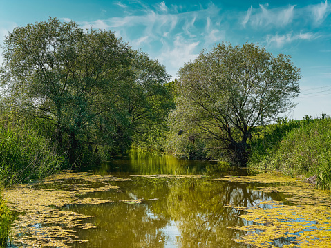 Blue ponds on Pilica River in Tomaszow Mazowiecki City