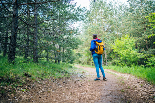 istock Hiker woman walking on forest path 1322753281