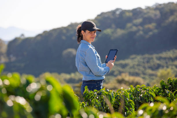 Farmer woman on coffee plantation Farmer woman with tablet in coffee plantation agriculture stock pictures, royalty-free photos & images