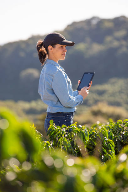 istock Farmer woman on coffee plantation 1322754644