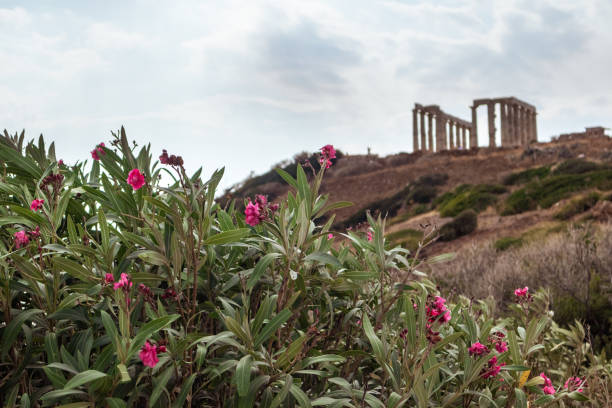 istock Temple of Poseidon with oleander flowers, Greece 1322755763