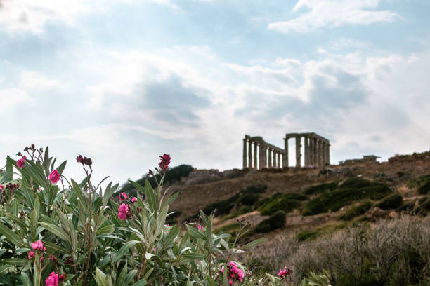 istock Temple of Poseidon with oleander flowers, Greece 1322755826