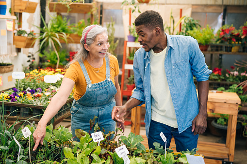 Customer choosing plants in garden center