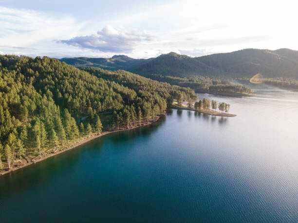 Aerial View of Pactola Lake in the Black Hills Golden Hour Drone view of the beautiful Pactola Lake in the Black Hills National Forest in South Dakota. black hills photos stock pictures, royalty-free photos & images
