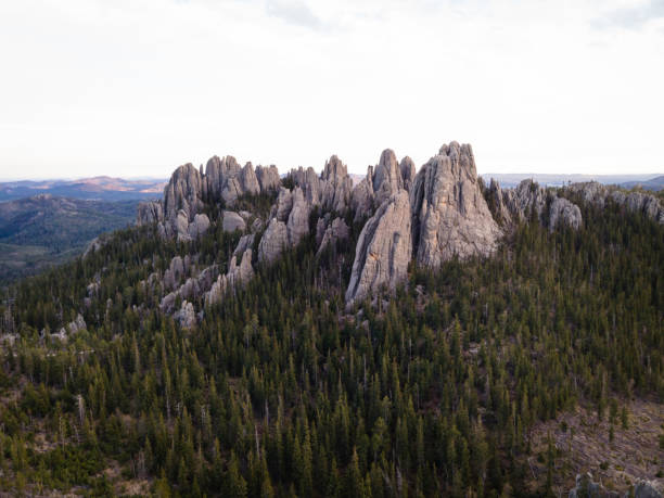 Aerial View of the Cathedral Spires in the Black Hills Drone view of the Cathedral Spires in the Black Hills National Forest in South Dakota. custer state park stock pictures, royalty-free photos & images