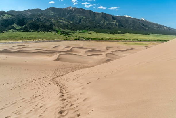 istock Great Sand Dunes National Park 1322767230