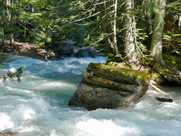 istock Nature of Montana 1322769489