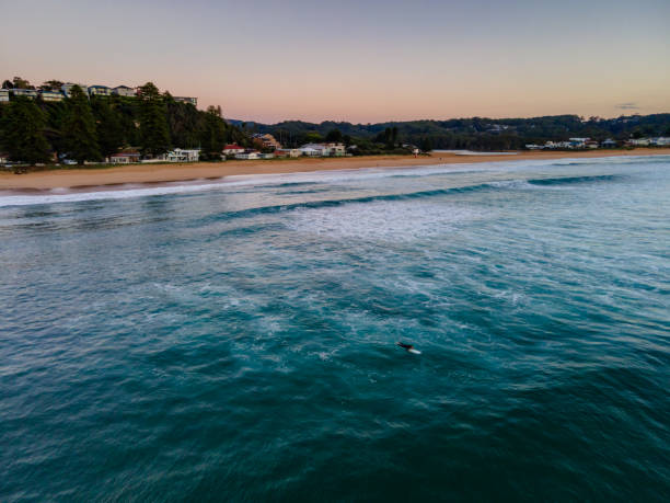 Sunrise aerial at the seaside with waiting surfers Sunrise seascape from above at Avoca Beach on the Central Coast, NSW, Australia. avoca beach photos stock pictures, royalty-free photos & images