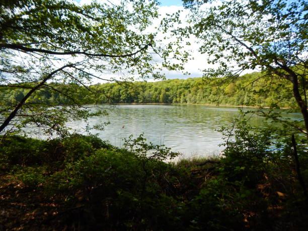 istock At the lake Garrensee 1322781519