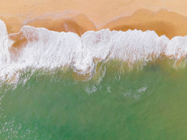 istock Beach by the sea 1322782978