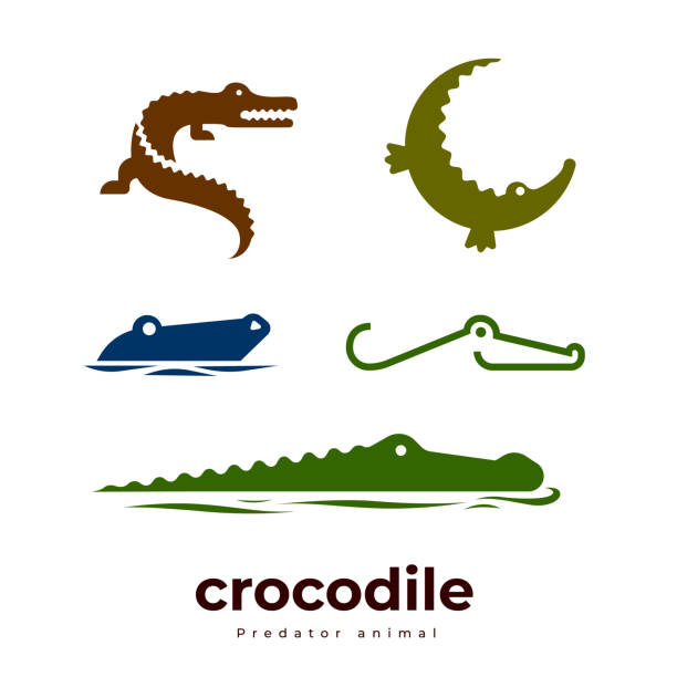 ilustraciones, imágenes clip art, dibujos animados e iconos de stock de conjunto de logotipos de reptiles depredadores de cocodrilos cocodrilo - caimán