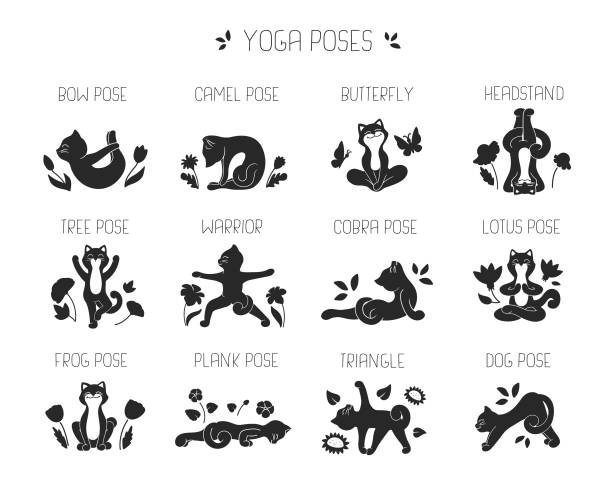 The set of cats in yoga poses. The collection of silhouettes animals The set of cats in yoga poses. The collection of silhouettes animals is good for logo designs. The kitty with flowers is a vector illustration ustrasana stock illustrations