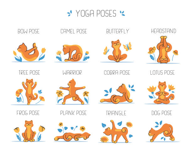 The set of cats and yoga. The collection of funny animals is good for logo designs The set of cats and yoga. The collection of funny animals is good for logo designs. The yoga poses is a vector illustration ustrasana stock illustrations