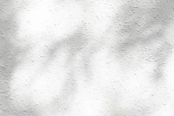 istock Gray shadow of leaves on a white wall 1322802306