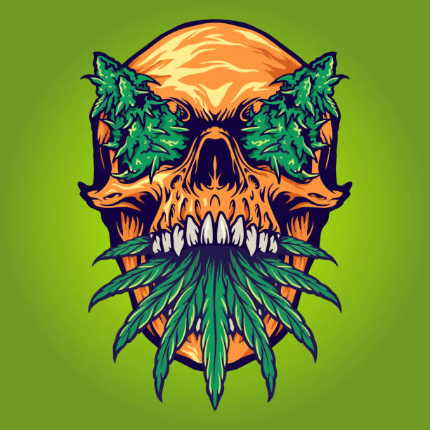 Head Skull weed Kush Vector illustrations for your work Logo, mascot merchandise t-shirt, stickers and Label designs, poster, greeting cards advertising business company or brands. Head Skull weed Kush Vector illustrations for your work Logo, mascot merchandise t-shirt, stickers and Label designs, poster, greeting cards advertising business company or brands. marijuana tattoo stock illustrations