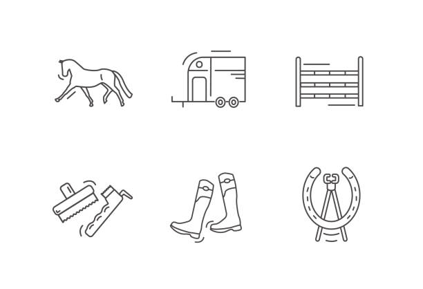 reiten umriss-symbol gesetzt. dressurpferd. pferdekastenanhänger. springsprünge zeigen. bürsten. - horse show jumping jumping performance stock-grafiken, -clipart, -cartoons und -symbole