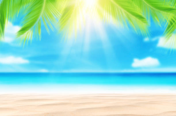 istock Blur beautiful nature green palm leaf on tropical beach with bokeh sun light wave abstract background. 1322807610