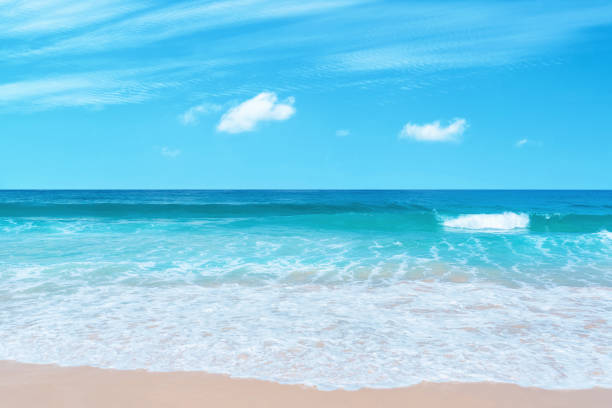 istock Beautiful tropical beach with blue sky and white clouds abstract texture background. 1322807848