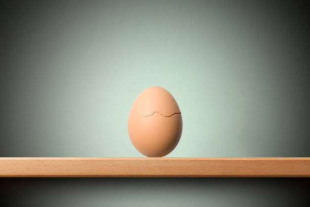 birth. an cracked egg on the shelf. - eggs cracked opening fragile imagens e fotografias de stock