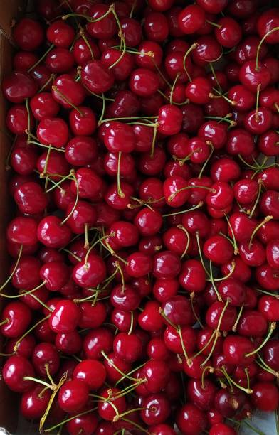 istock Cherries, texture and background, Red color 1322808713