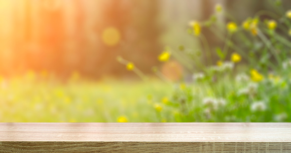 Summer meadow table background. Sunny spring blurred meadow with wooden table background. High quality photo