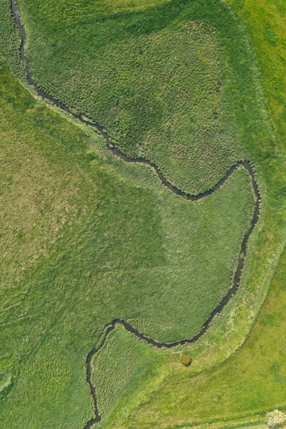 istock Aerial view of a small stream through green fields 1322811510