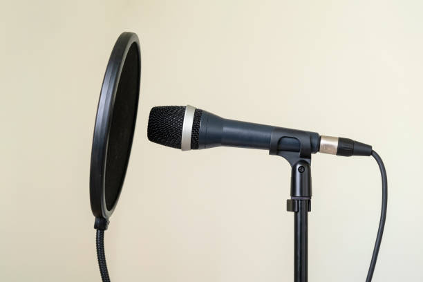 microfono da studio professionale con scudo pop su uno stand in uno studio di musica domestica. nessuno - voice over foto e immagini stock
