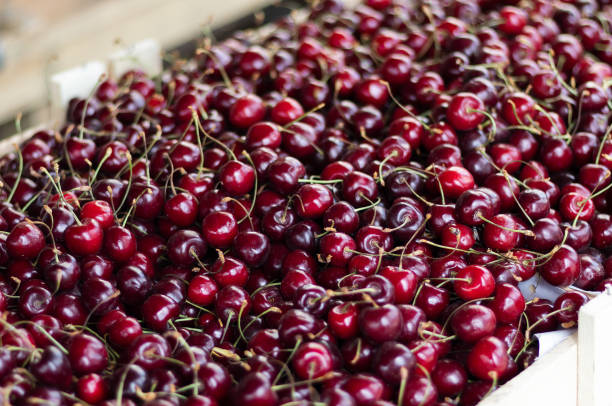 istock A box of ripe cherries in a grocery store. 1322816063