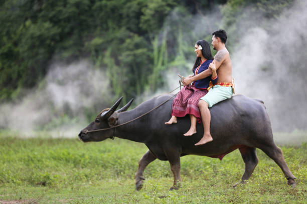 istock Horse Riding Horses On Field 1322816215