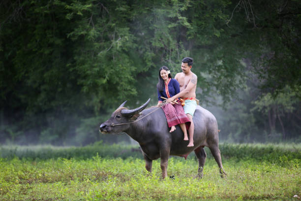 istock Man Riding Horse On Field 1322816216