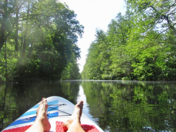 istock On the way with the SuP / stand up paddle 1322818904