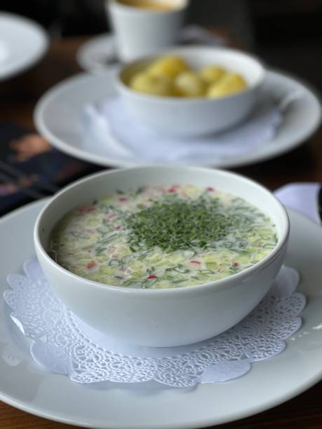 野菜を白い皿に入れたオキロカ - soup cold russian culture traditional culture ストックフォトと画像