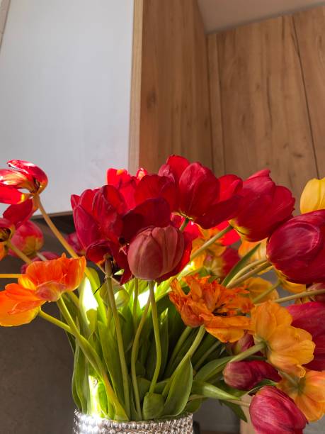 istock colorful tulips in vase indoor 1322819396