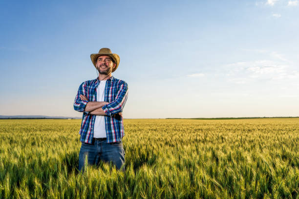 Agriculture Farmer is standing in his growing wheat field. He is happy because of successful sowing. agronomist photos stock pictures, royalty-free photos & images