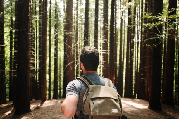 istock Rear view of a backpacker in a forest 1322823035