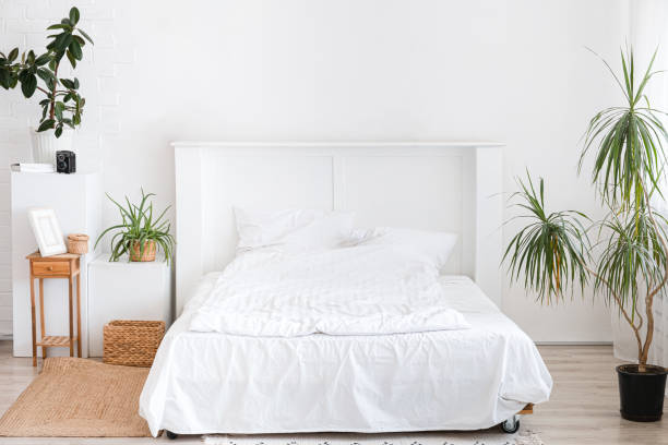 istock Bedroom interior with white bed and big indoor flower 1322823893
