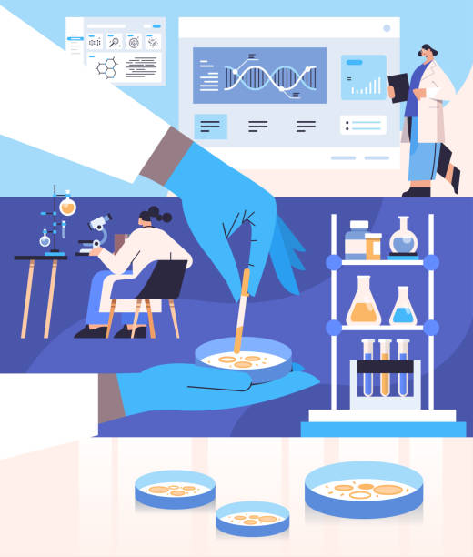 실험실에서 화학 실험을 하는 한천 박테리아 식민지 연구원과 페트리 접시와 함께 일하는 과학자 - laboratory petri dish chemistry science stock illustrations