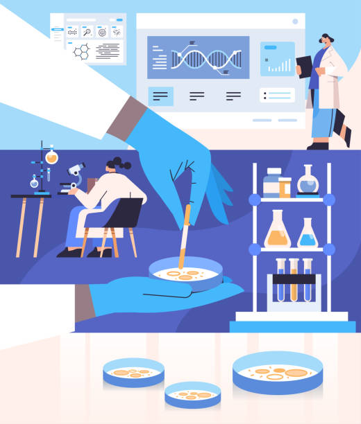 ilustrações de stock, clip art, desenhos animados e ícones de scientist working with petri dish with agar bacterium colony researchers making chemical experiment in laboratory - petri dish cell bacterium biology