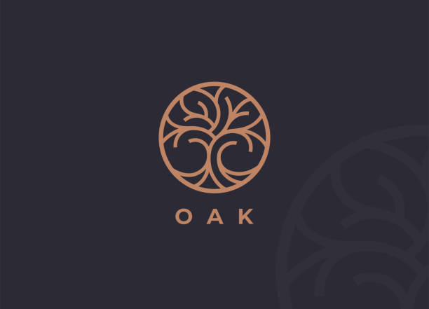 значок линии круга дерева - oak tree stock illustrations