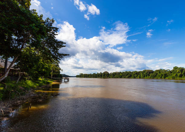 istock Bergendal, Suriname - August 2019: Sunny Forest Landscape Shadowed By Overcast White Clouds. 1322833868