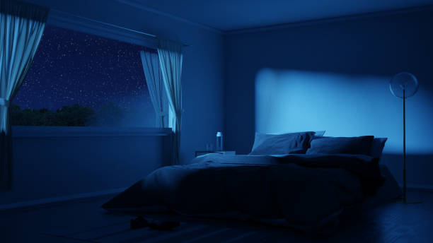 夜に居心地の良い低いベッドとベッドルームの3dレンダリング - 寝室 ストックフォトと画像