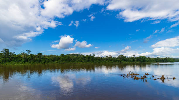 istock Suriname Nature Scenery In Brokopondo District 1322835153